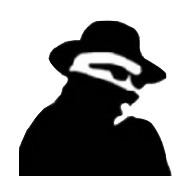 ვიდეოკამერა